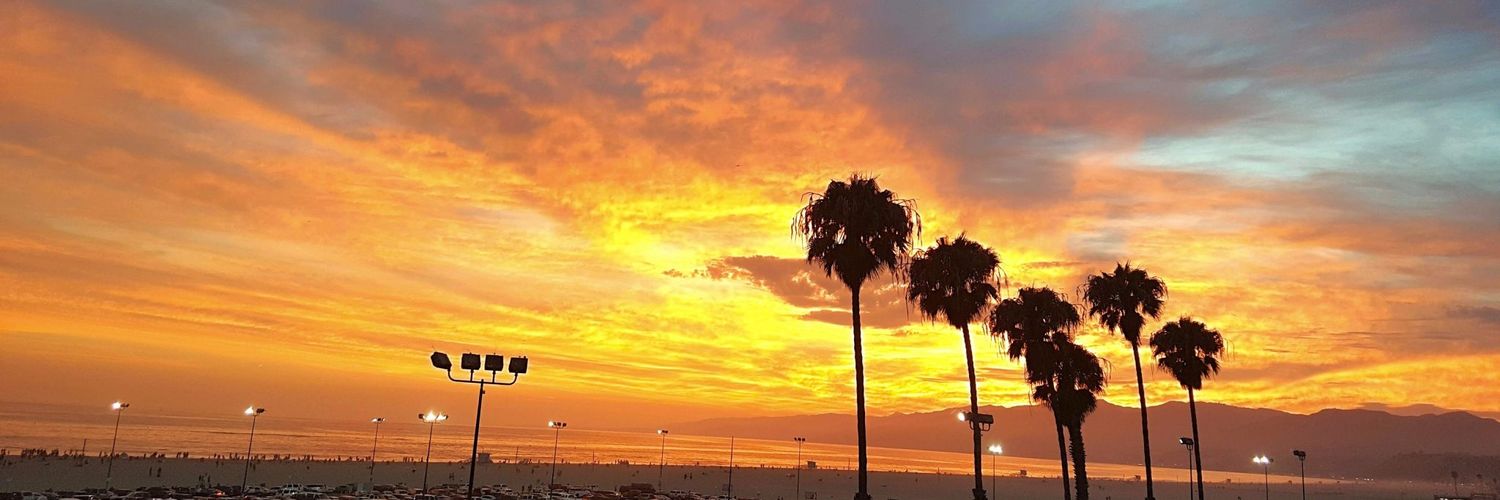 Hall Niemer 🇺🇸 long suffering Dolphins fan banner