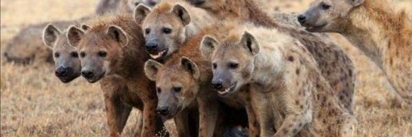 nerorimmel Profile Banner