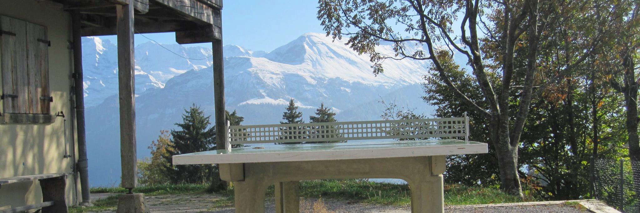 Jimmi Jan Rouge banner