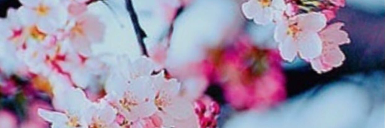 ToniDelynn's profile banner image