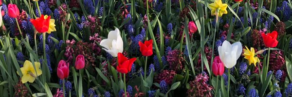 stelphy1987 Profile Banner