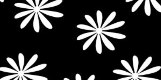 Siera_Baird's profile banner image
