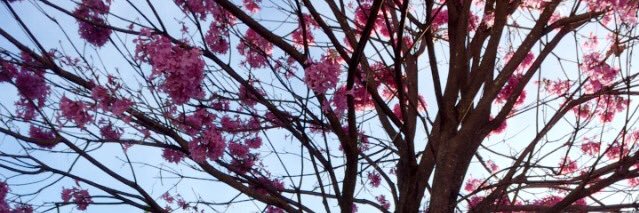 anapaulaa_fg's profile banner image