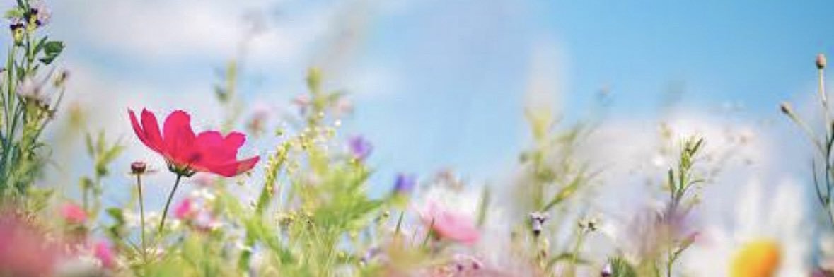 さざなみ's banner
