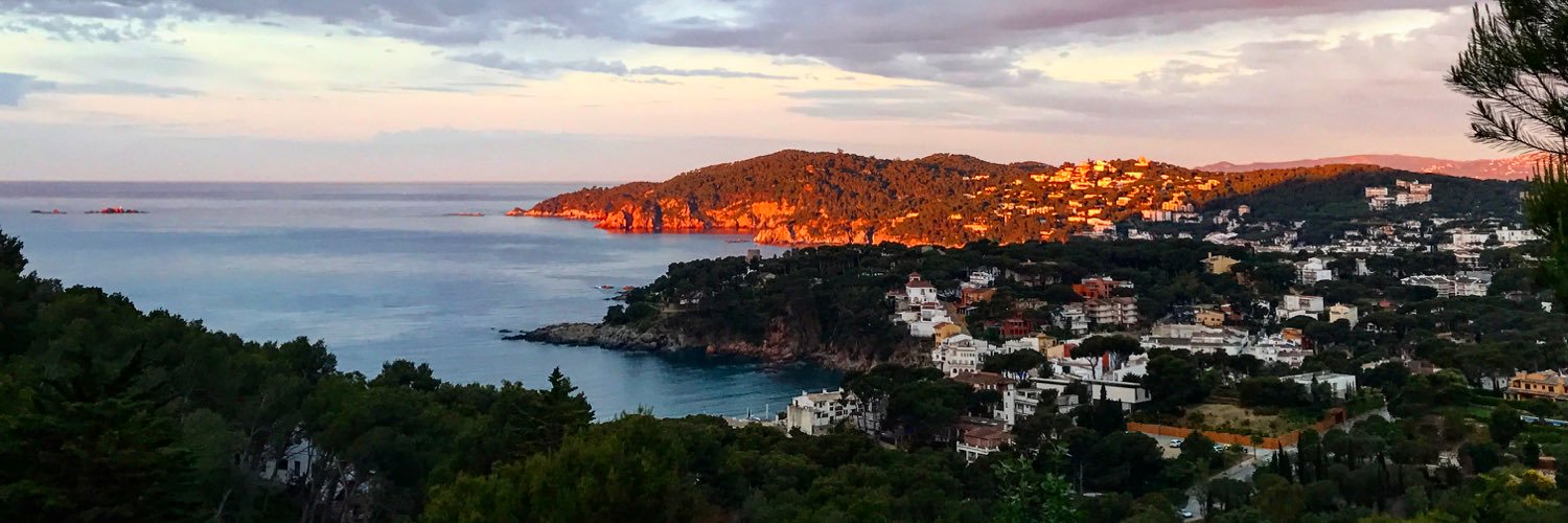 Chari Rodríguez banner