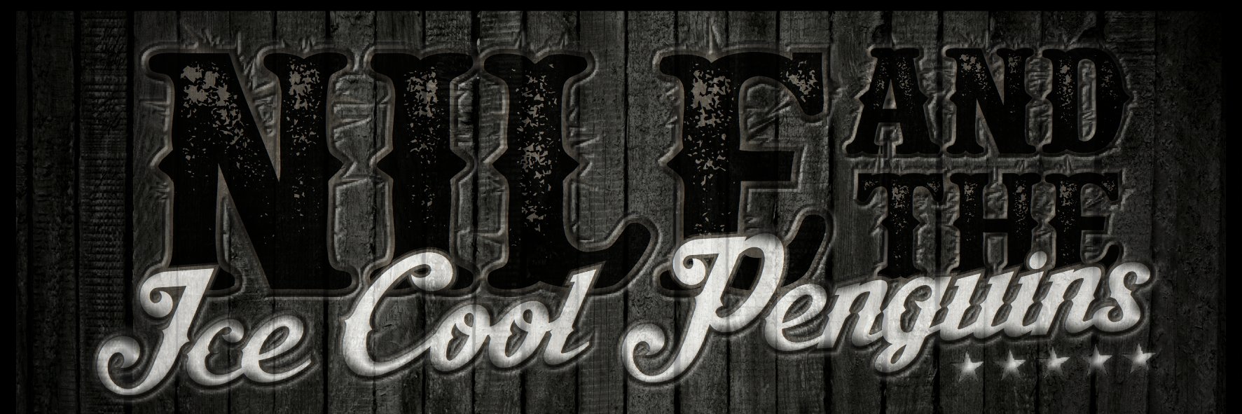 NileandTICP's profile banner image