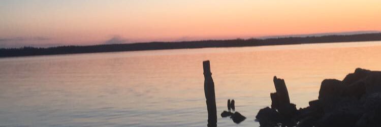 MothanderVictor's profile banner image