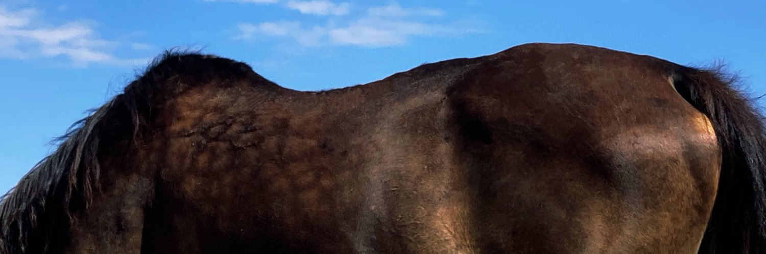 solsoleeeet's profile banner image