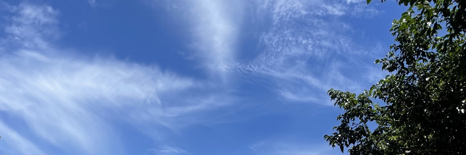 Sarkitta's profile banner image