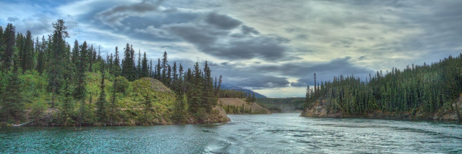 bezkoh's profile banner image