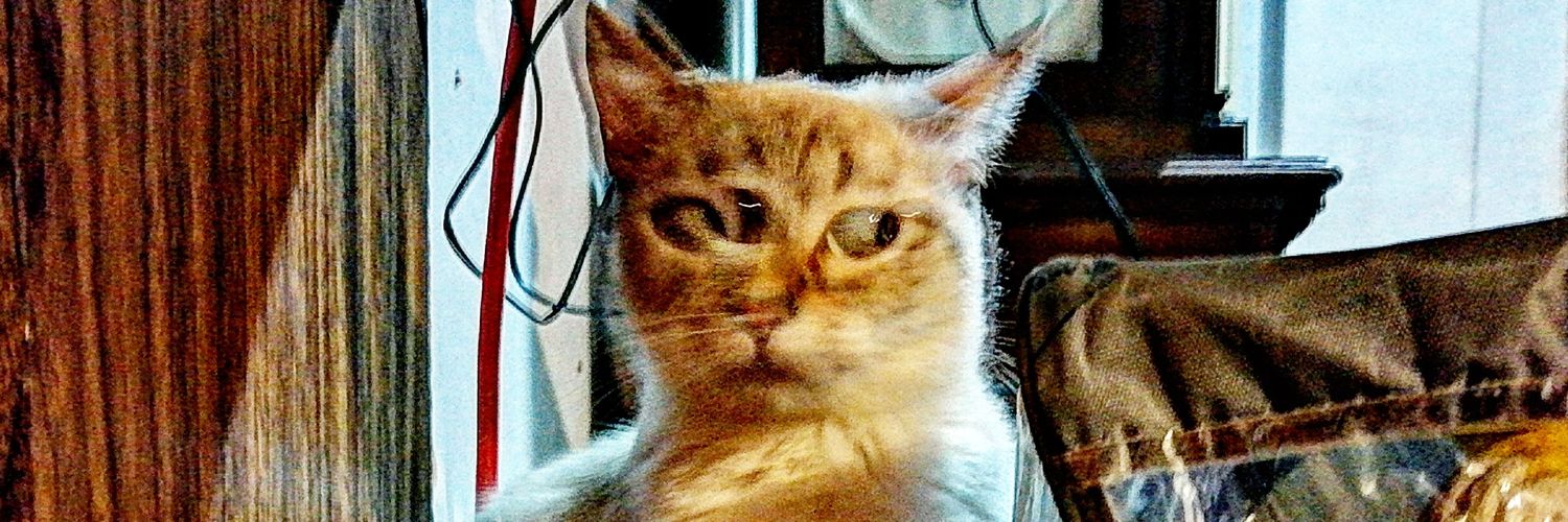 heitters's profile banner image