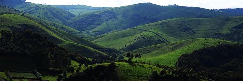 Marie Chantal Uwitonze banner