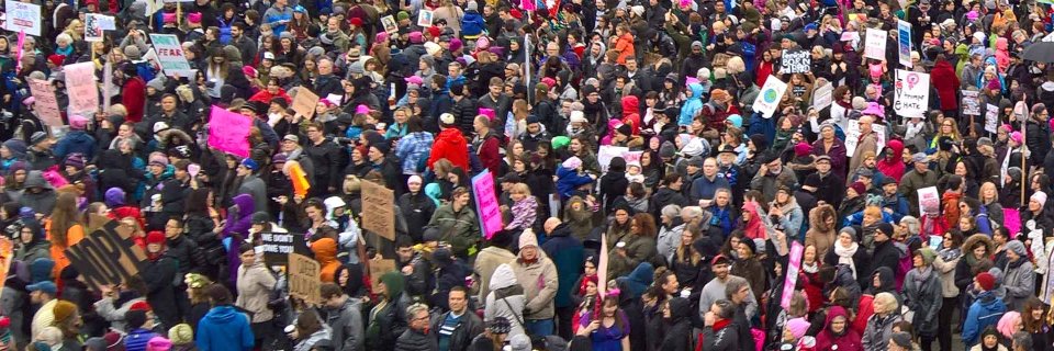 BluePoliticus banner