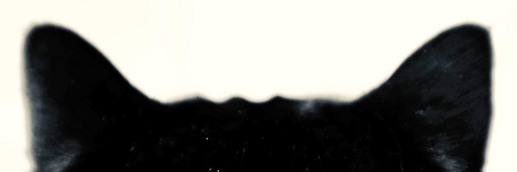 Circa84's profile banner image