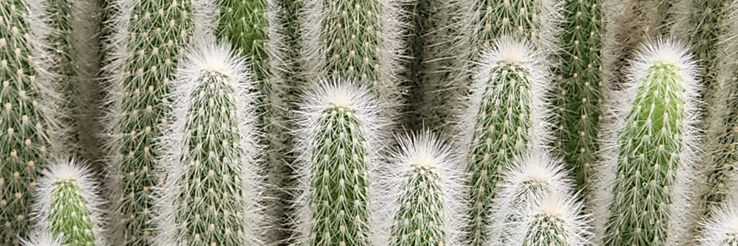 OtroRicardo's profile banner image