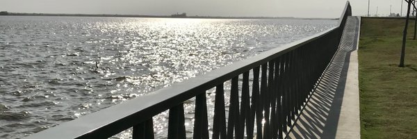 julipalacioc Profile Banner