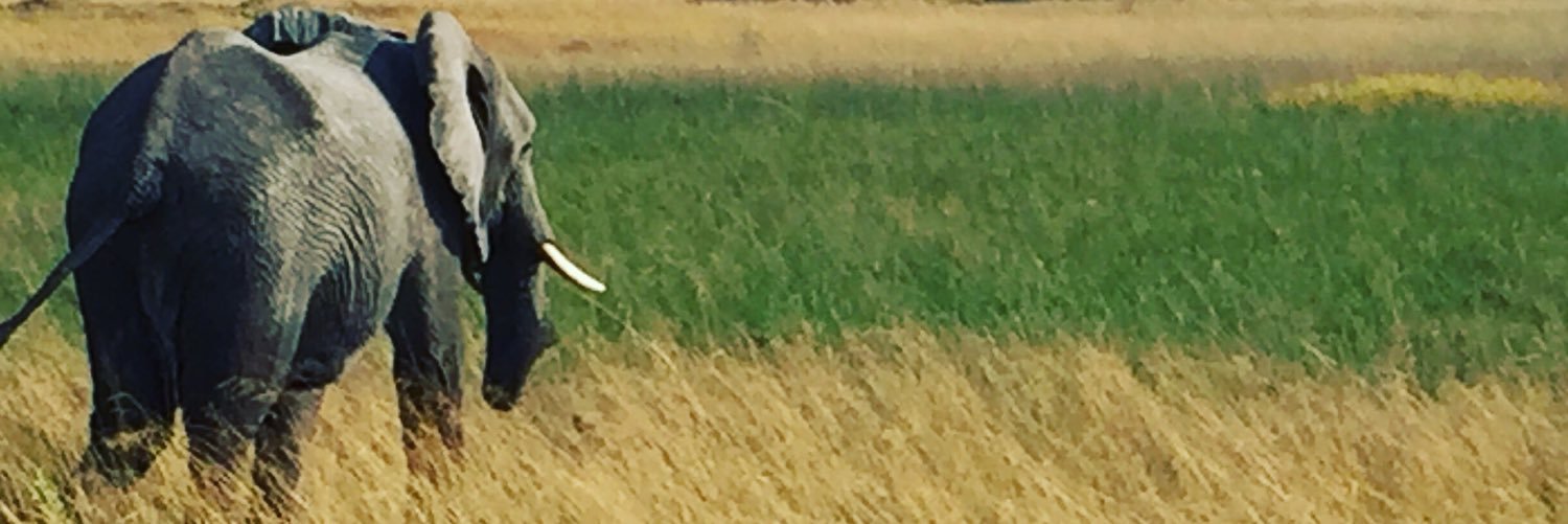 Steve Jermanok banner