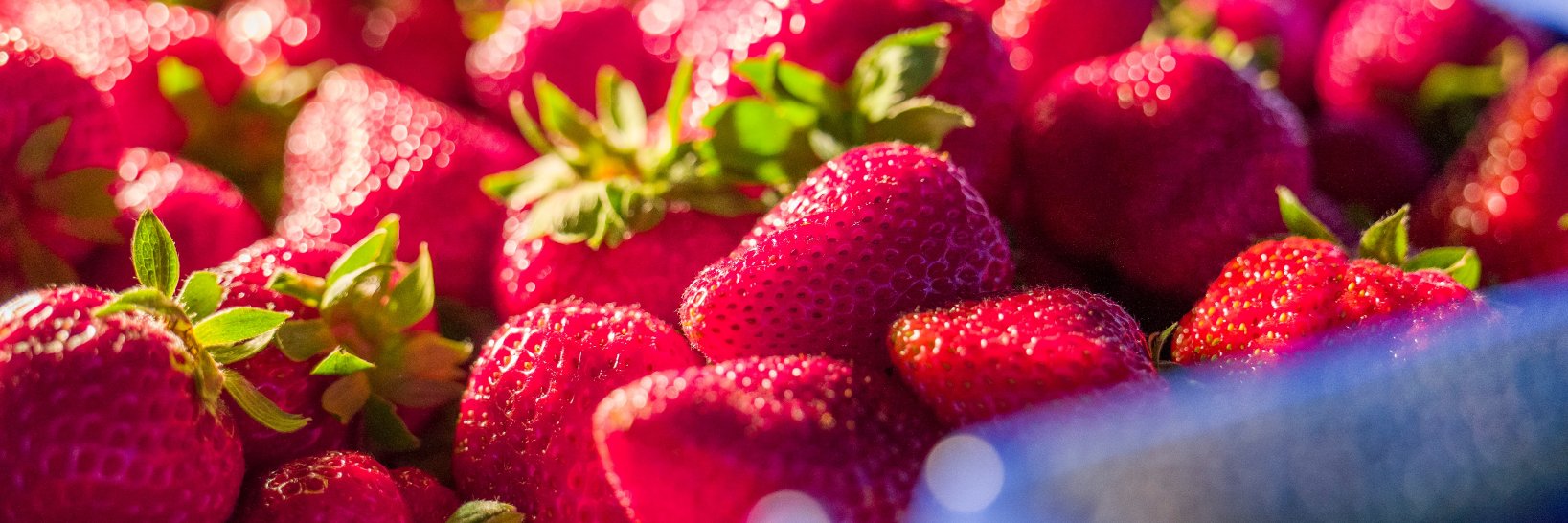 BarossaFarmersMarket banner