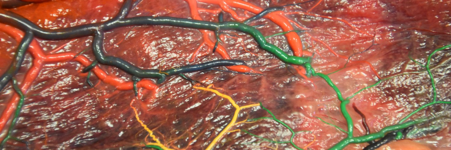 Giulia Bonanni, MD banner