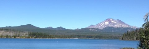 William A. Masters banner