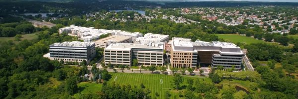 BulfinchCos Profile Banner