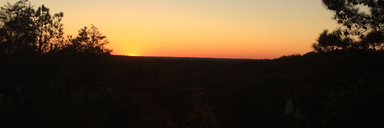 mier_david's profile banner image