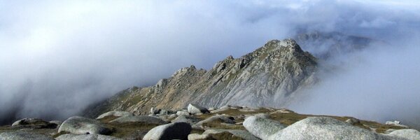 ggarchar Profile Banner