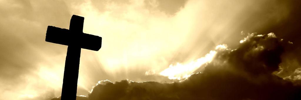 Daniel Bothwell banner