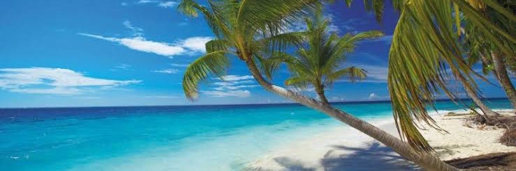 👹⚫️🟡Paco Goñi 🇲🇽🇪🇸 banner