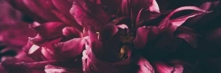MIMM_CR's profile banner image
