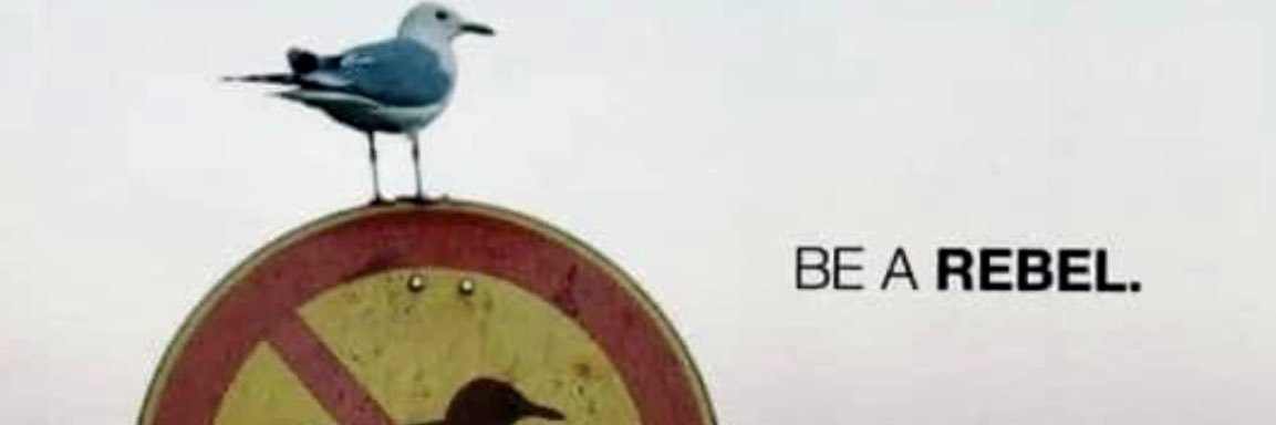 SabineWitteveen's profile banner image