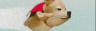 bingONt's profile banner image
