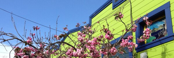 Edith Profile Banner