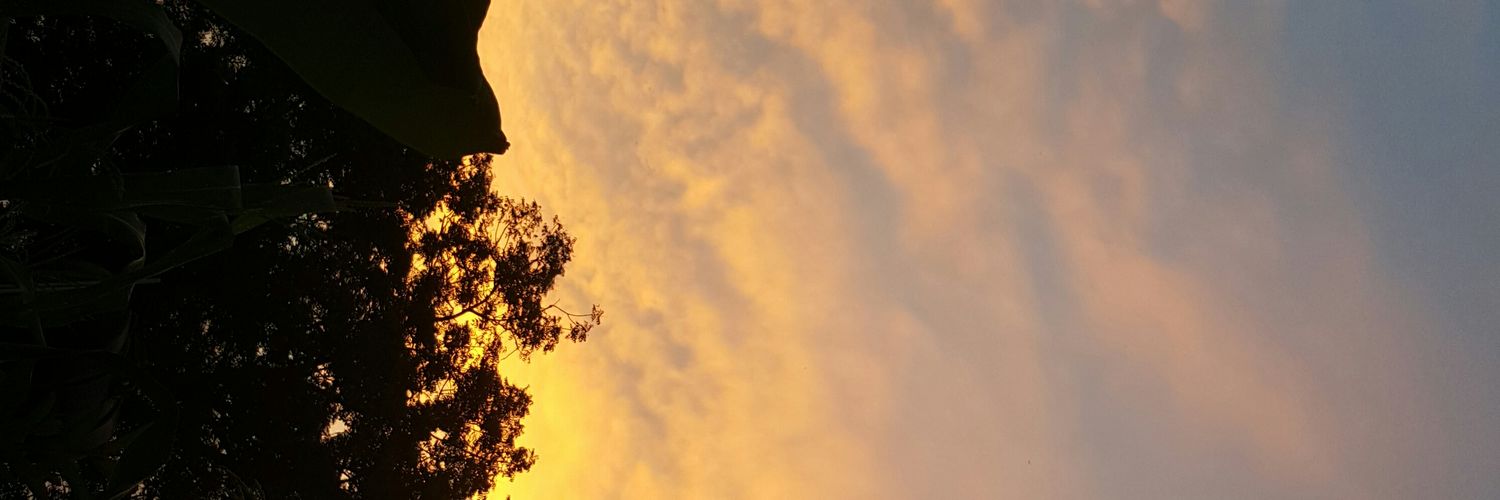 BjTheOG's profile banner image