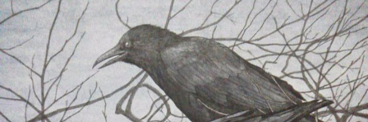 久利須カイ's banner