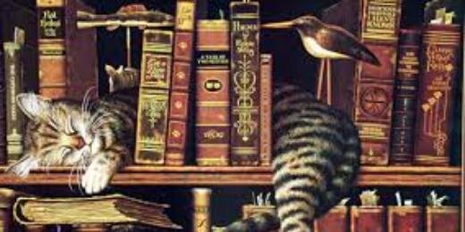 AndrewChernoff's profile banner image