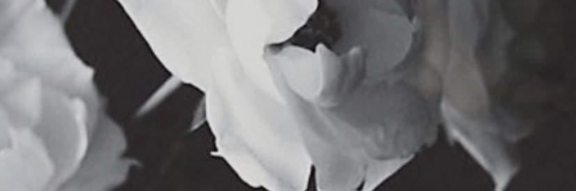 _j3ss's profile banner image