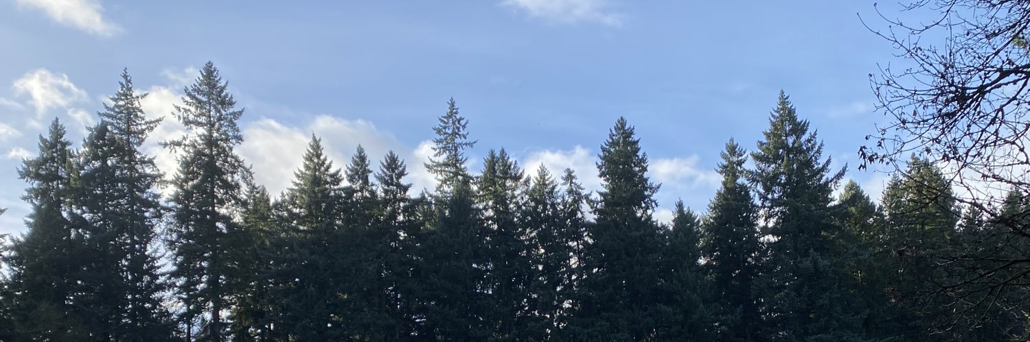 uhstinn's profile banner image