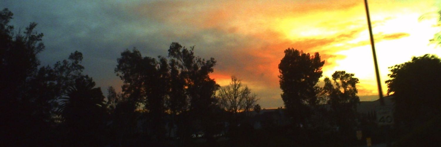 arimardelmar's profile banner image