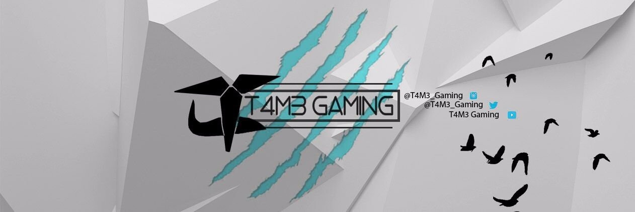 T4M3_Gaming's profile banner image
