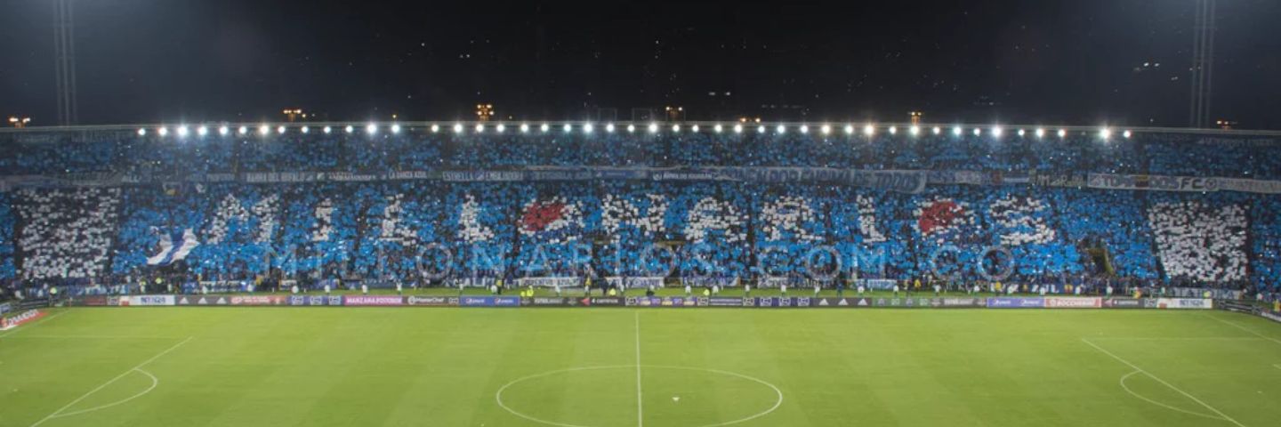 MaleOpto16's profile banner image