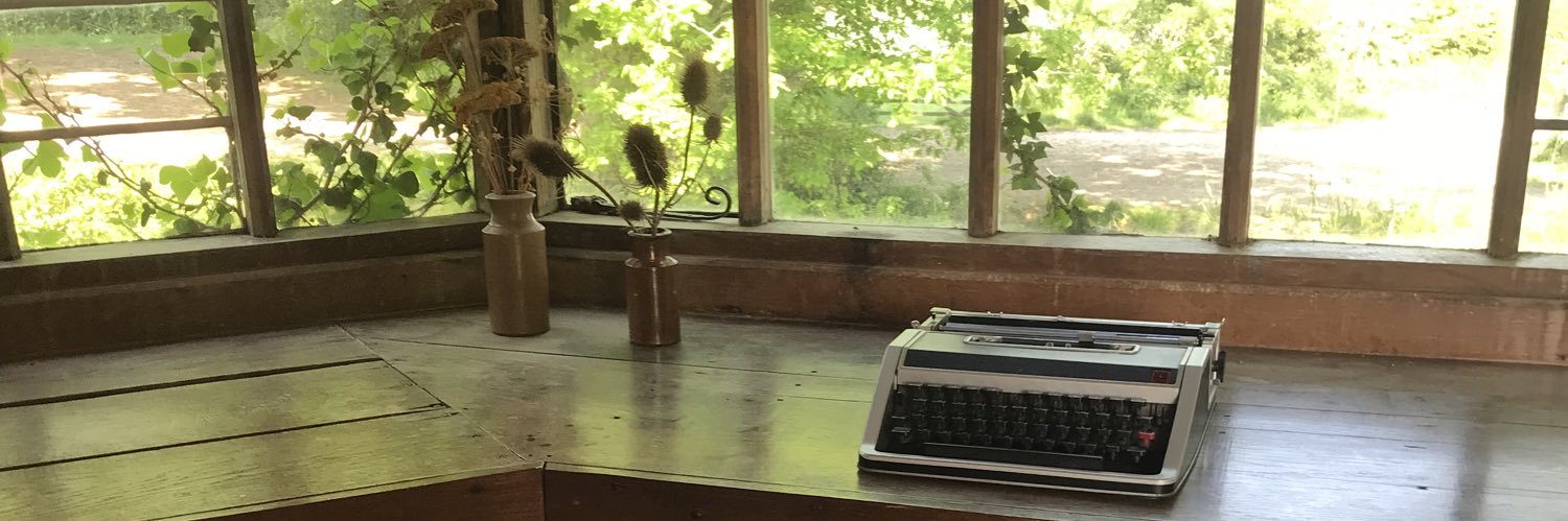 Amy K. Schultz banner