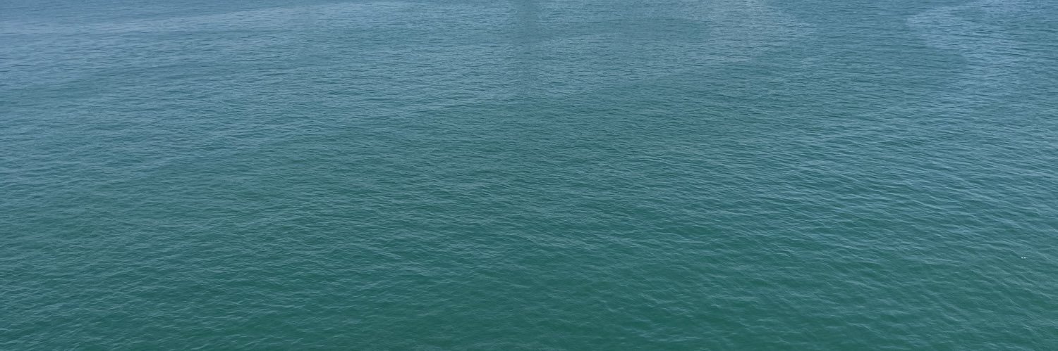 Skydshae's profile banner image