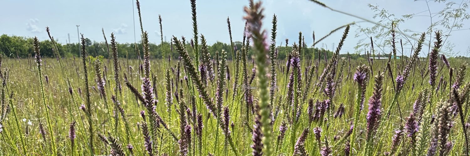 grantwithplants's profile banner image