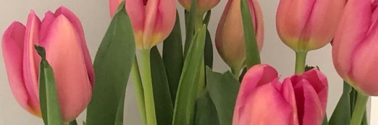 i_amal141's profile banner image