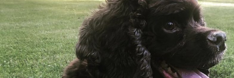 PacoStud6's profile banner image