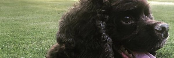 PacoStud6 Profile Banner