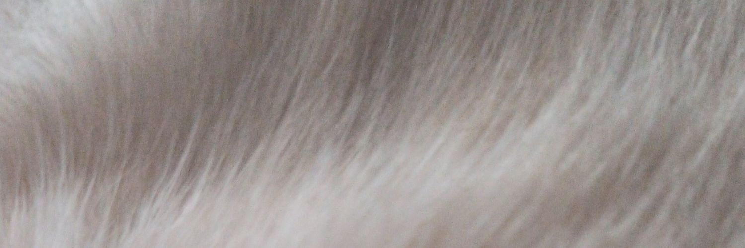 mavc1995's profile banner image
