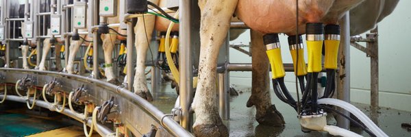 ADFMilking_CAN Profile Banner