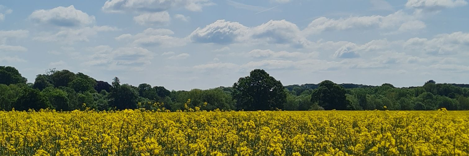 matt_chennells's profile banner image